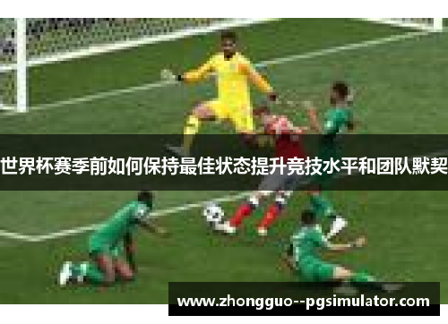 世界杯赛季前如何保持最佳状态提升竞技水平和团队默契 世界杯赛季前如何保持最佳状态提升竞技水平和团队默契