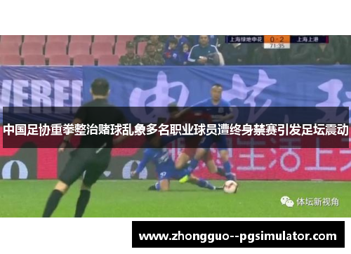 中国足协重拳整治赌球乱象多名职业球员遭终身禁赛引发足坛震动